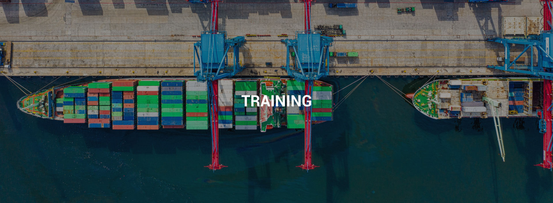Training-header Training-header